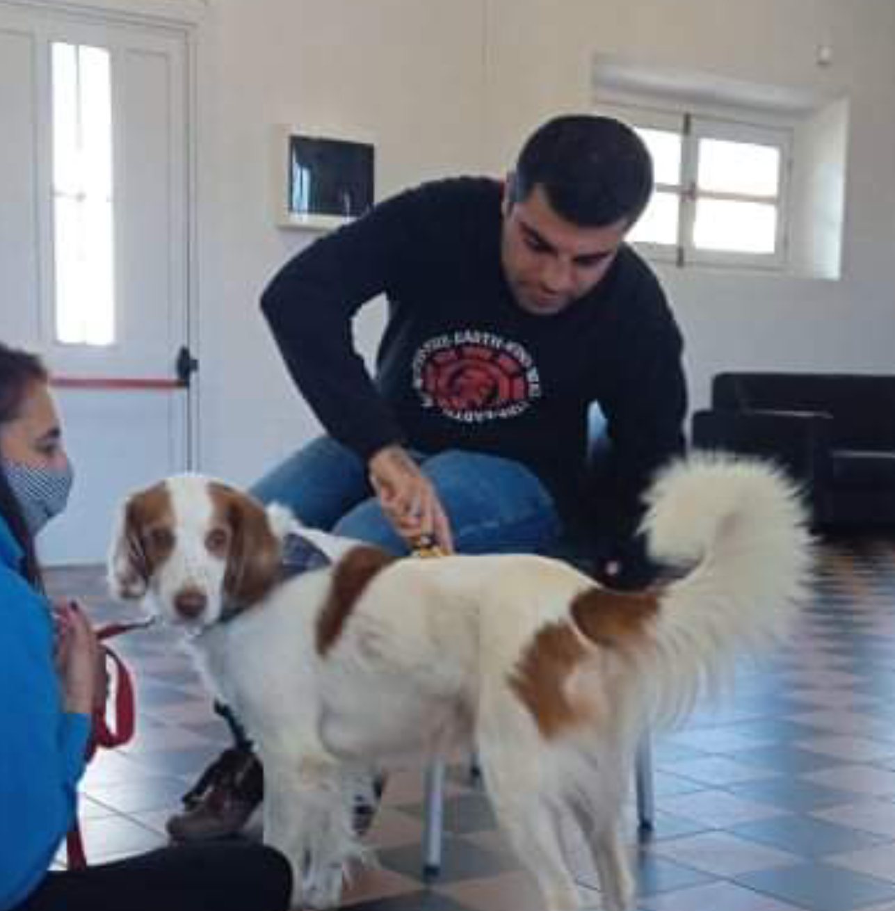 9788859018032 behavioural approach in IAA with the dog. S.