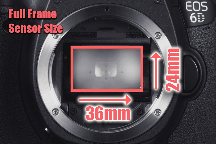 APSC vs Full Frame Every Difference Covered!