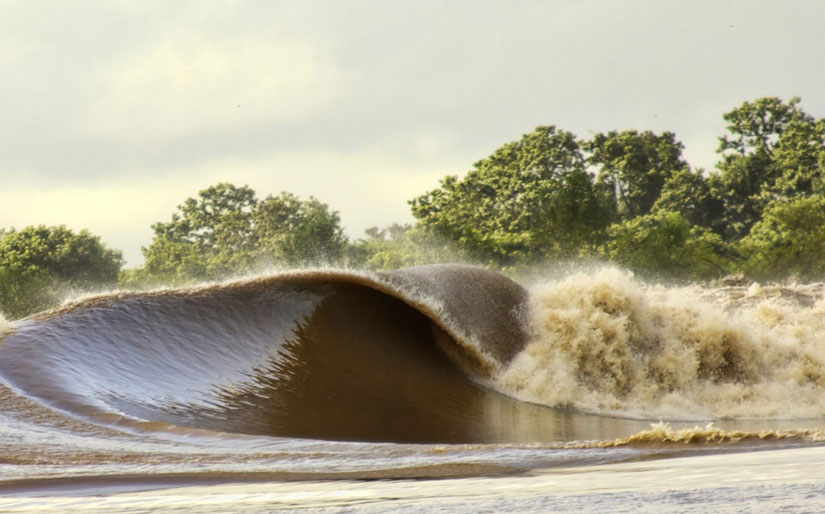 ¿Que es la Pororoca?