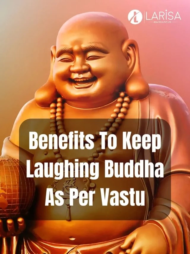 Benefits to keep Laughing Buddha at your home Larisa Realtech