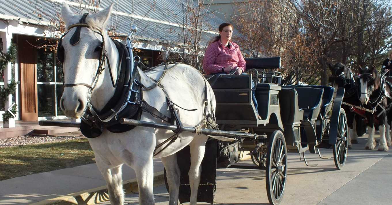 The Denver Suburb of Parker, Colorado Continues Growth