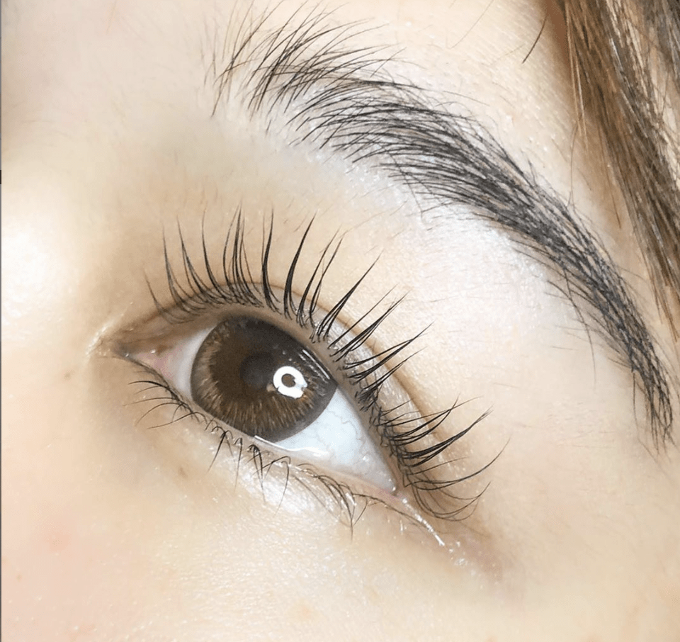 Lash Extension Course Keratin Lash Lift & Lash Tinting LashMagic