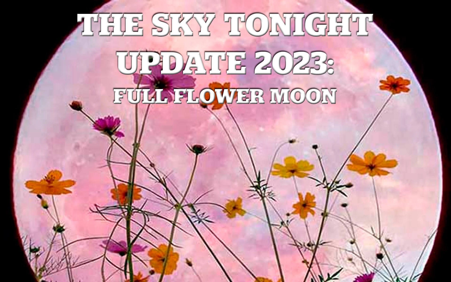 The Sky Tonight Update Full Flower Moon Louisiana Art & Science Museum