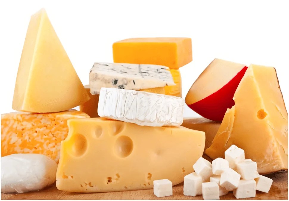 El uso del queso el rey de las proteínas Lasrecetasdelchef