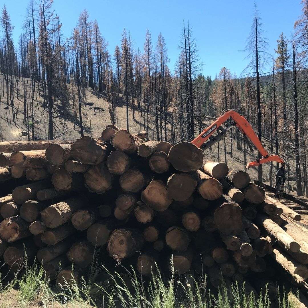 New sawmill in Crescent Mills will aid Indian Valley recovery Lassen News