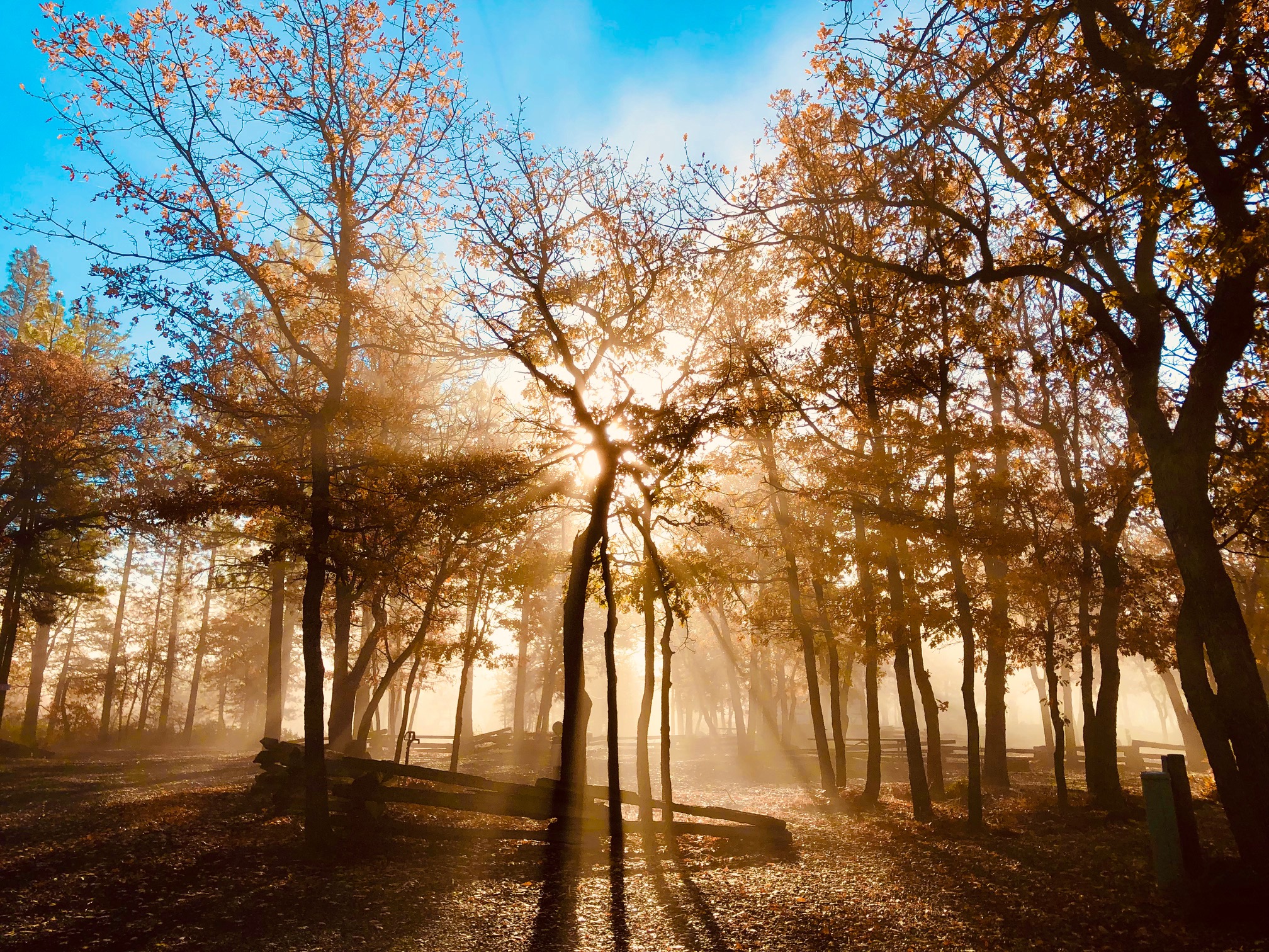 Photo Gallery of Lassen RV Park & Campground in McArthur, CA