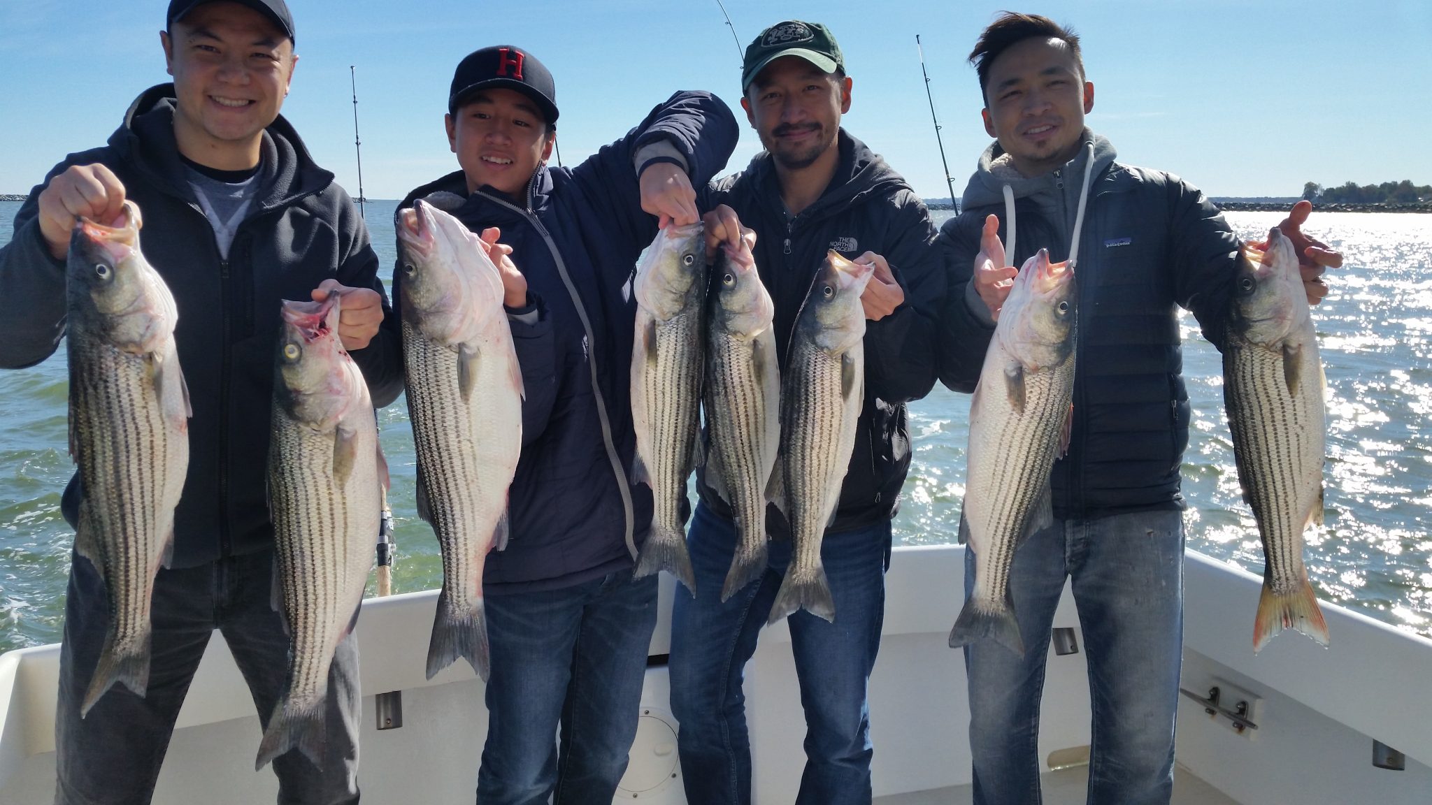 Chesapeake Bay Fishing Charter Fall Rockfishing on the Chesapeake Bay