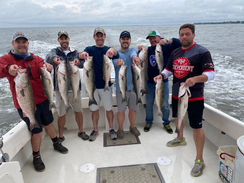 Chesapeake Bay Fishing Charter Resident Rockfish Season Starts Monday!
