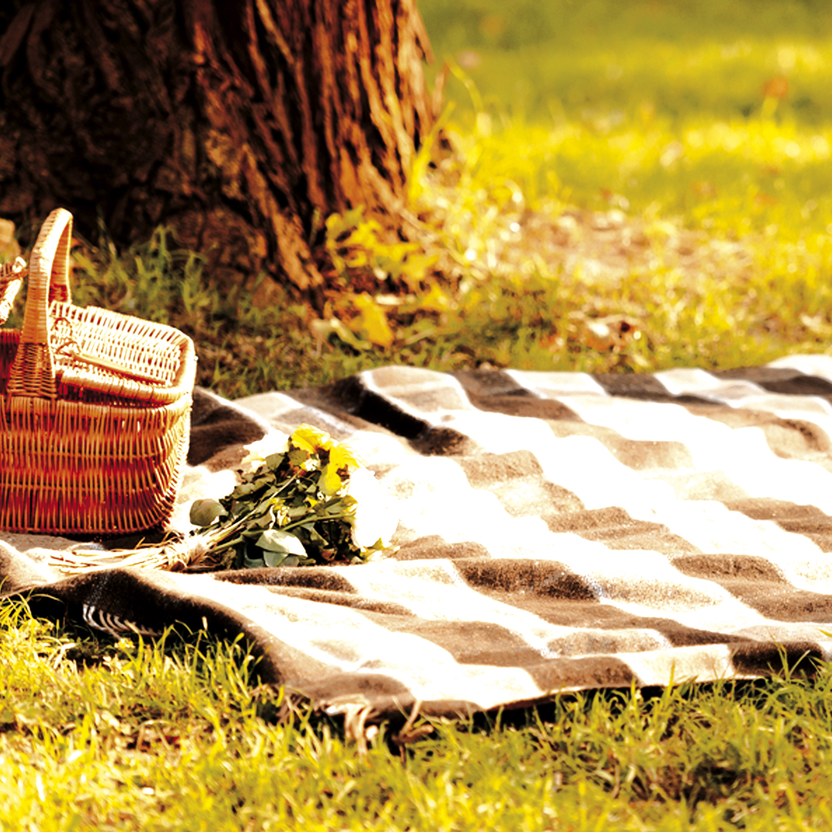 10 ideas para triunfar con tus picnics Toreras