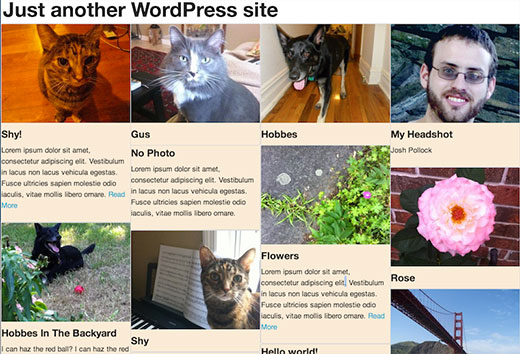 How to Use Masonry to Add Pinterest Style Post Grid in