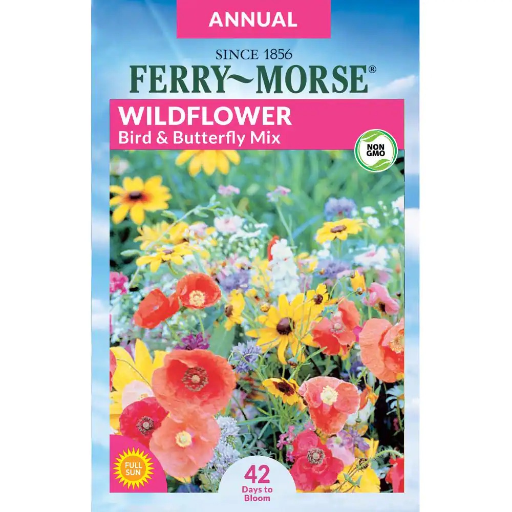 Free Wildflower Seeds LatestFreeStuff.co.uk