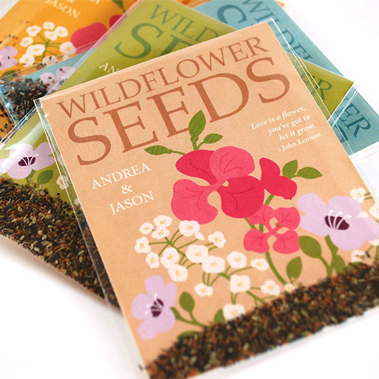 Free Wildflower Seeds LatestFreeStuff.co.uk