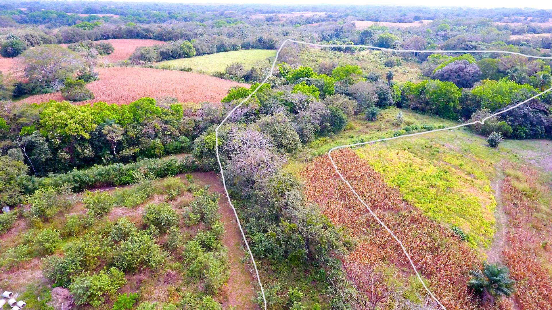 3 Hectares of Pedasi Panama Land for Sale 15 Minutes from Pedasi