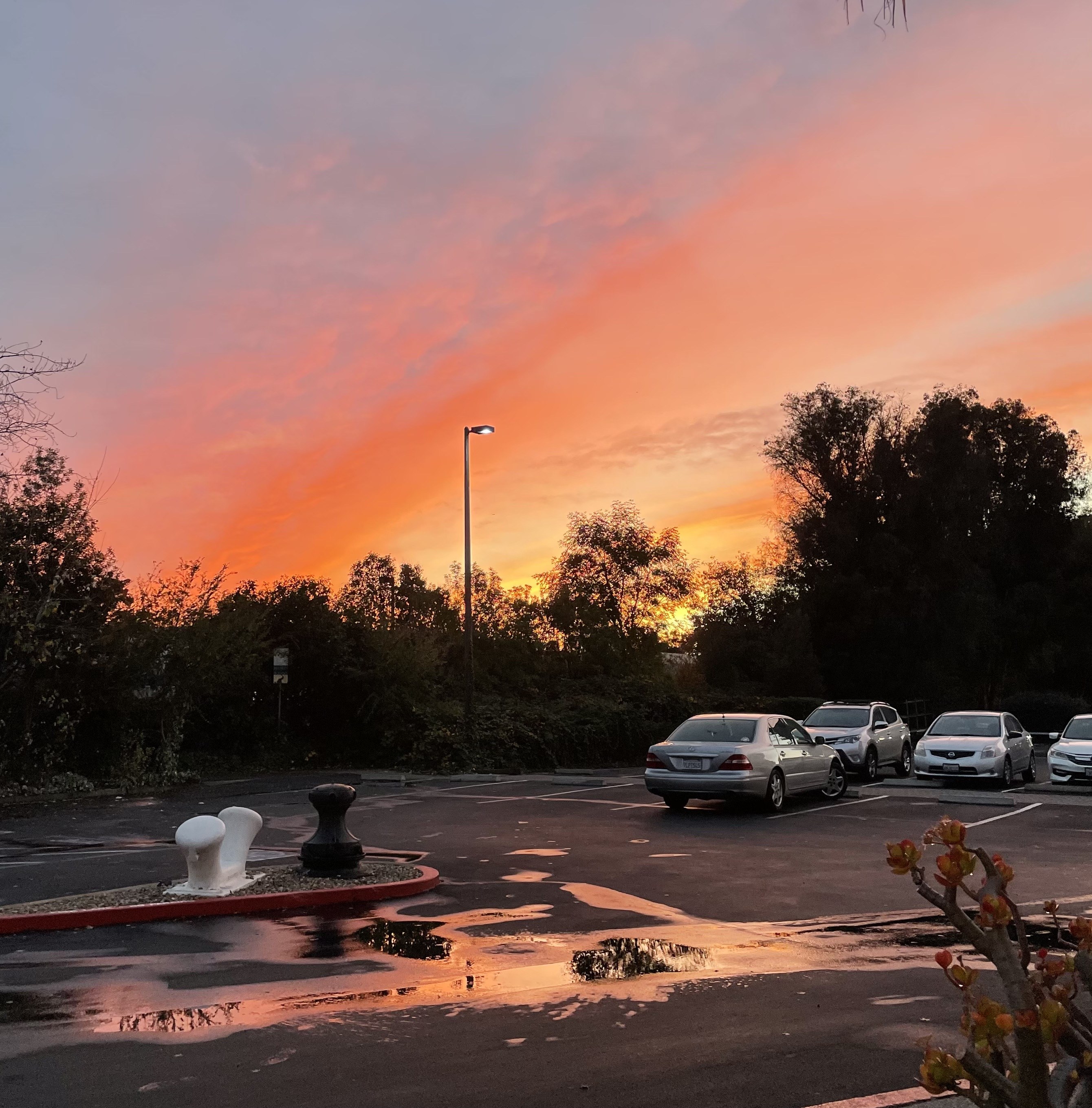 Sailagram A Snapshot of December Sailing