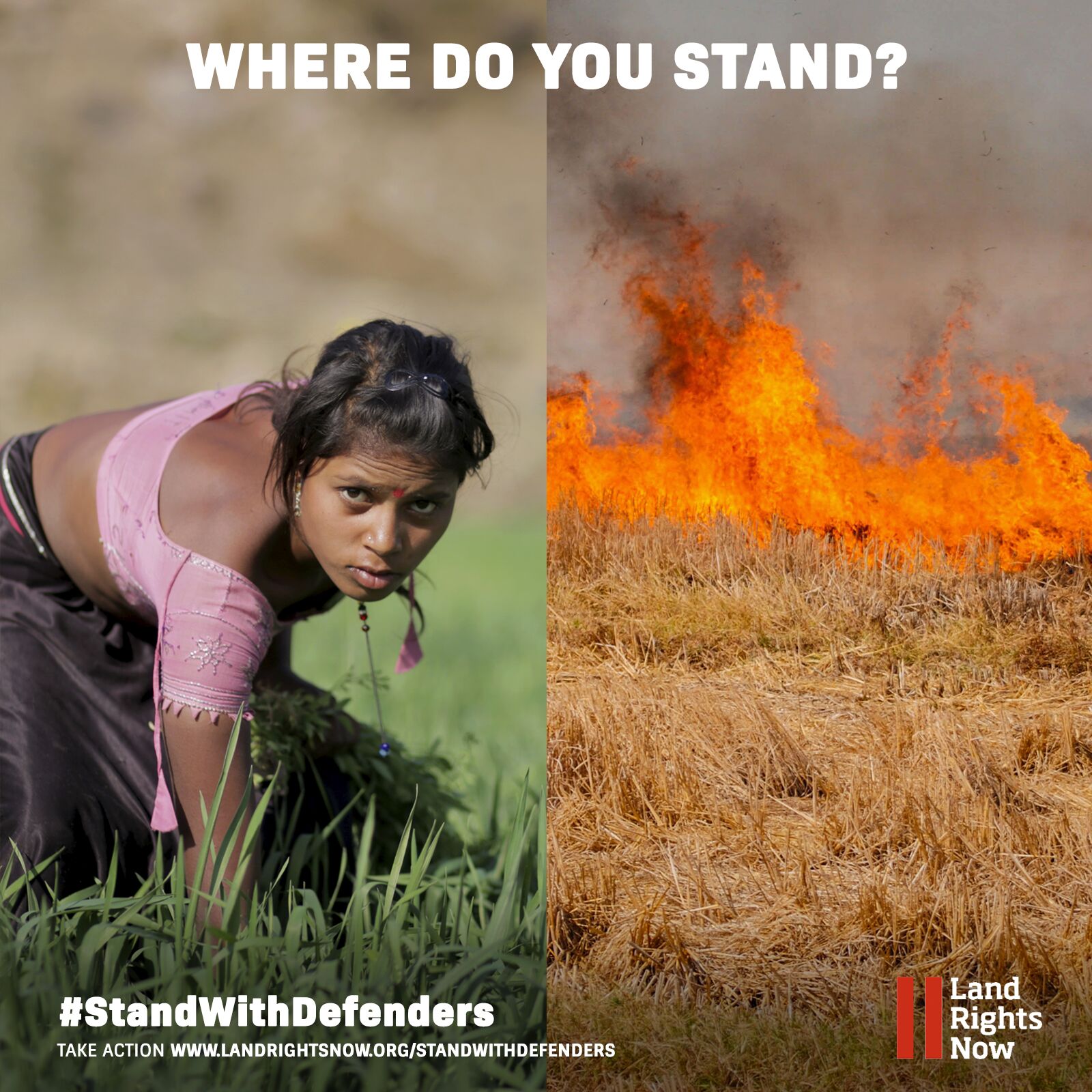 Land rights now Latte Creative