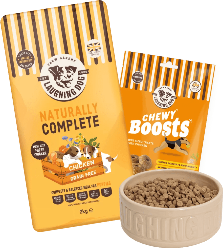 Online Food Subscription Service Laughing Dog Food