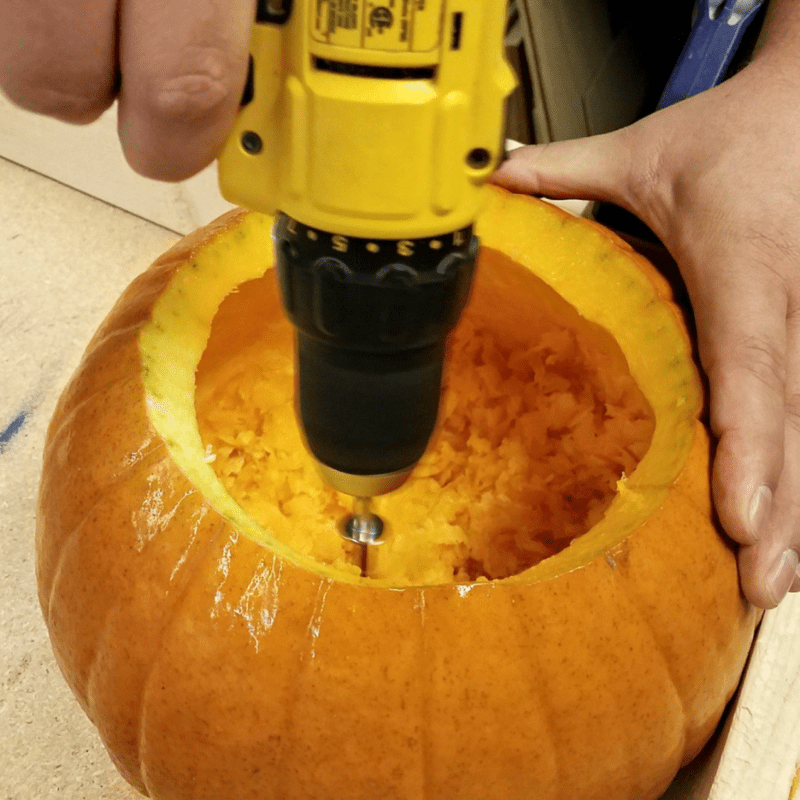 How To Avoid Rotting Pumpkins Launch Credit Union