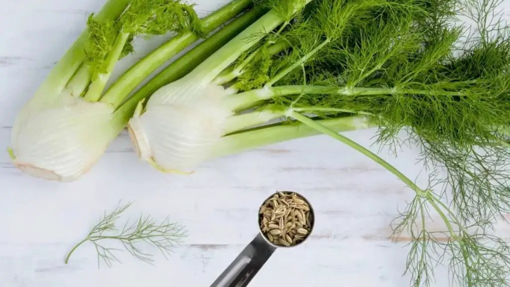 What Does Fennel Taste Like