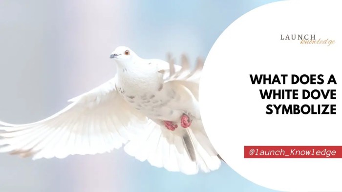 What a Dove May Signify Daily Themed Crossword