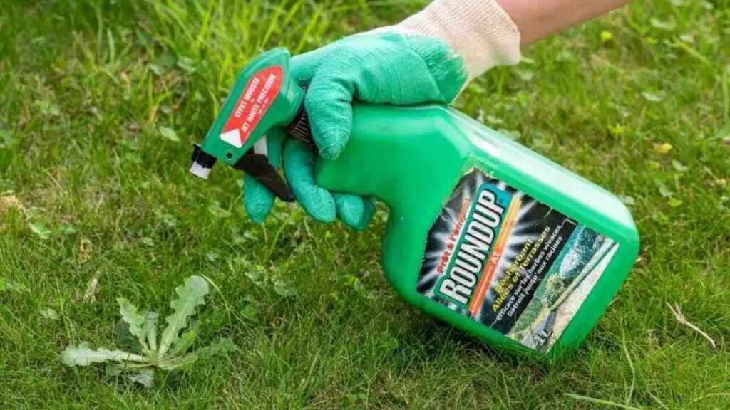 How Long Does Roundup Stay In The Soil
