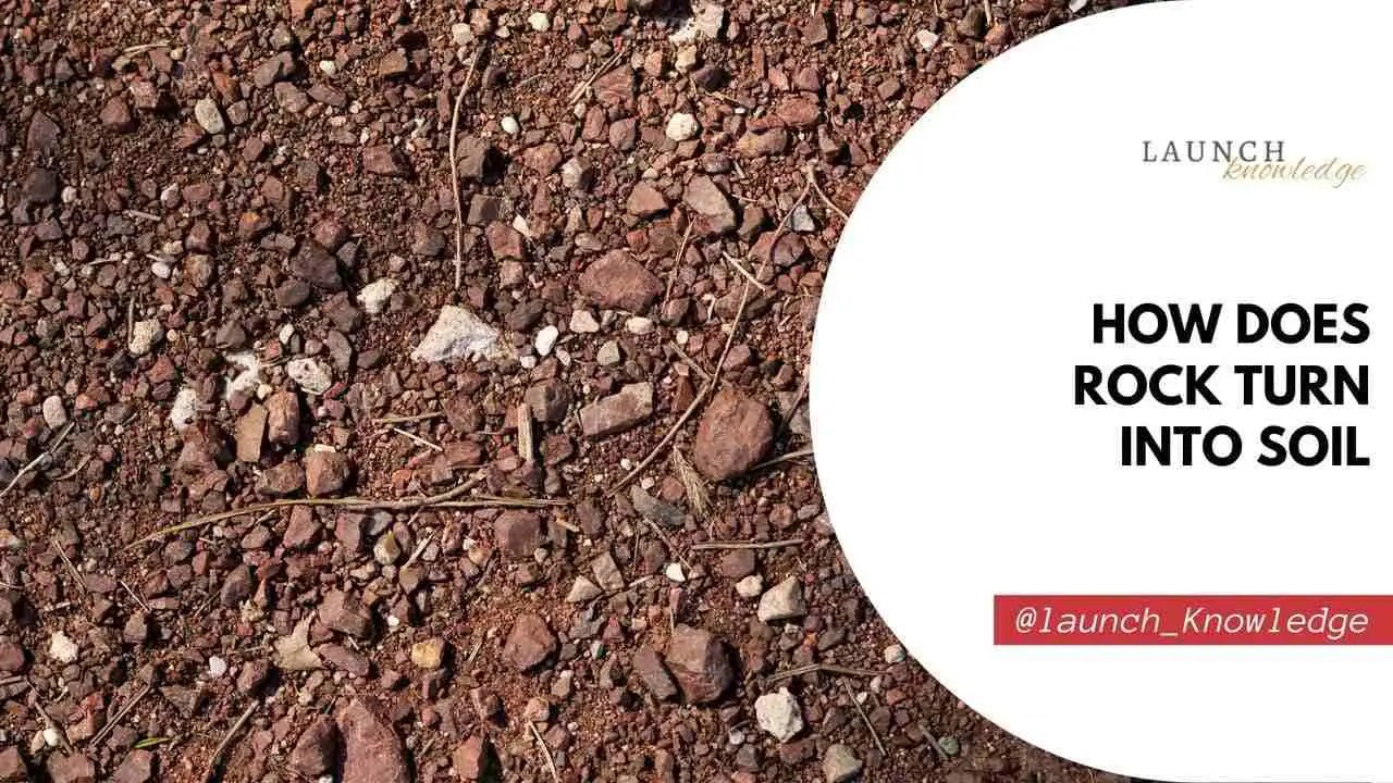 How Does Rock Turn Into Soil Amazing Facts About Nature