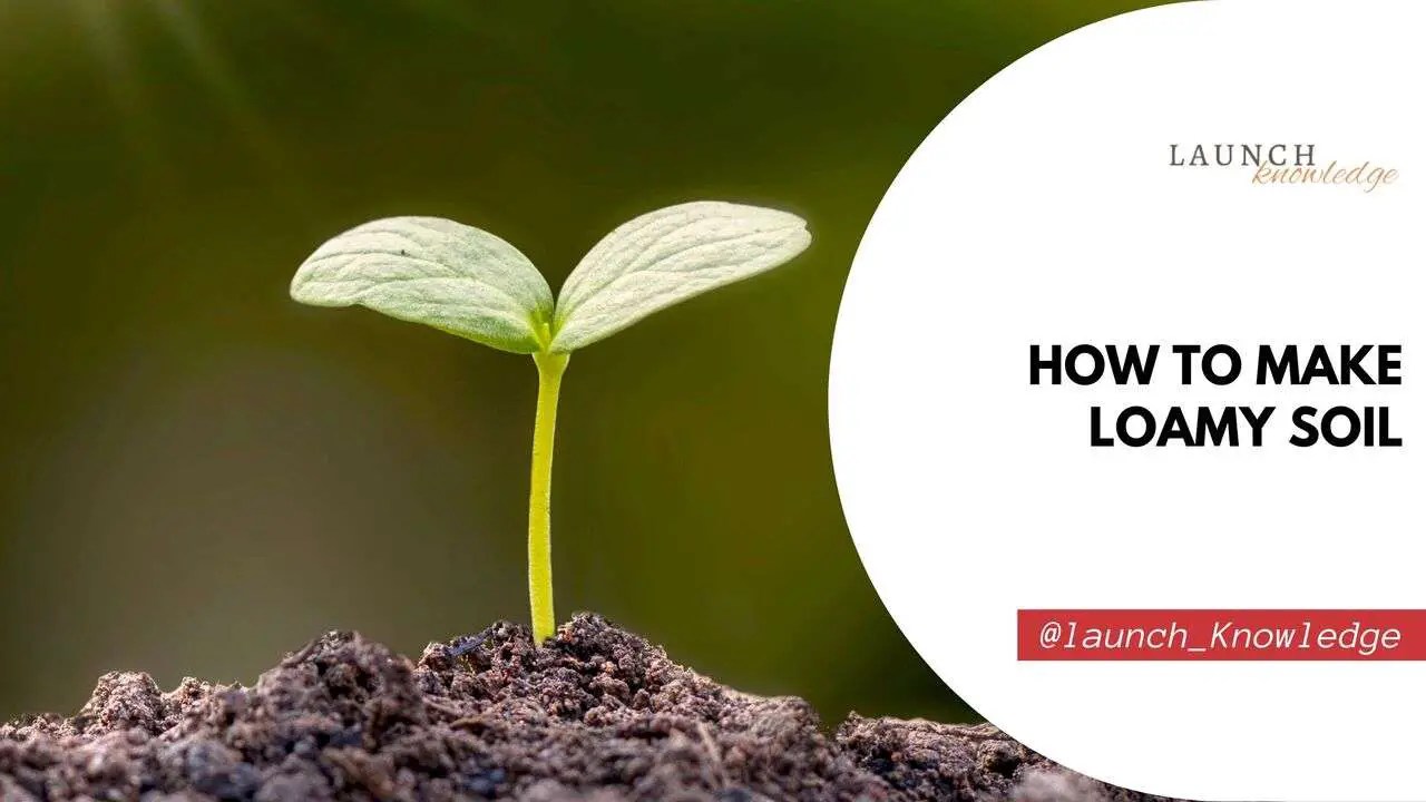 How to Make Loamy Soil Tips For Gardening