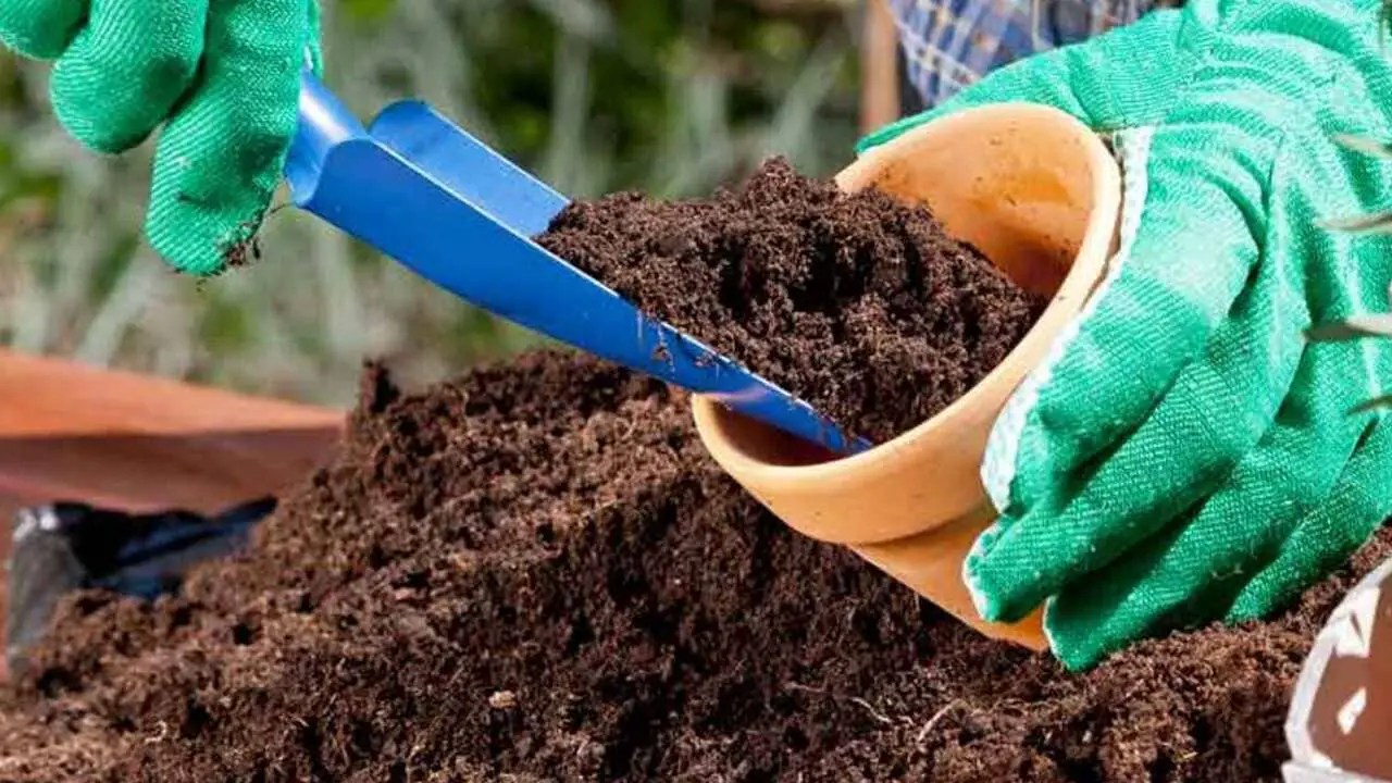 How to Store Potting Soil Tips For Gardening