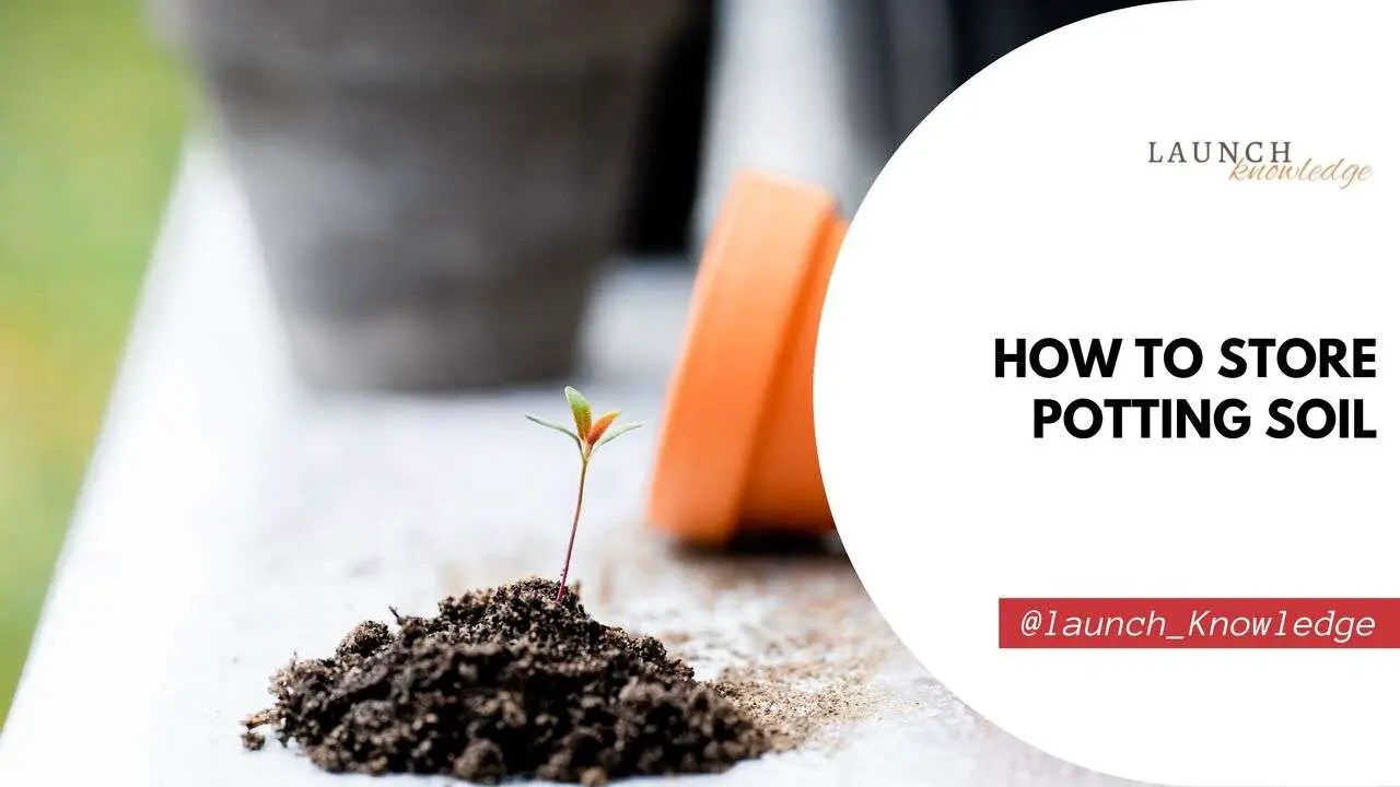 How to Store Potting Soil Tips For Gardening