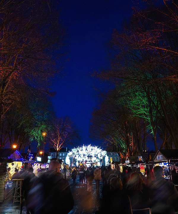 Marché de Noël 2021 Ville de Laval