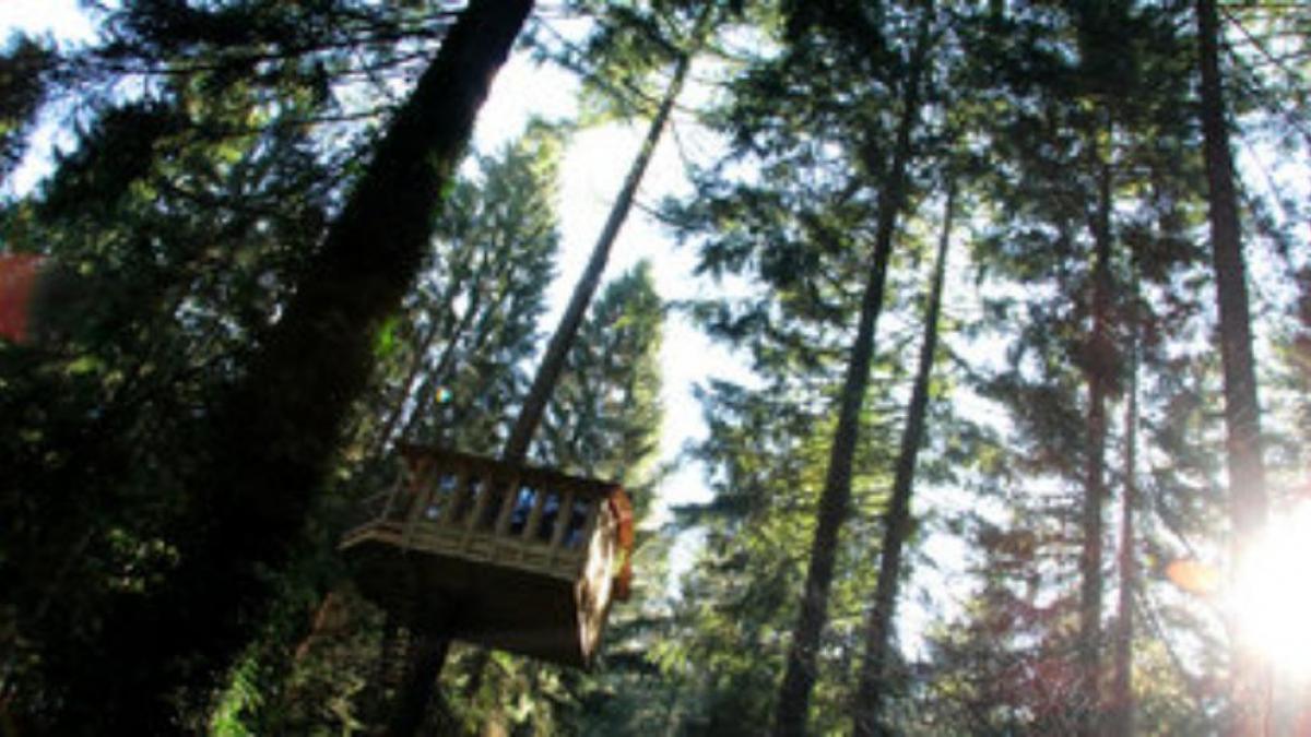 &#039;Cabañas en los árboles&#039; estrena un nuevo complejo en el País Vas