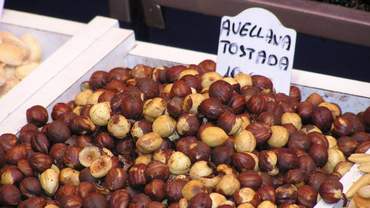 Avellanas beneficios, propiedades y valor nutricional