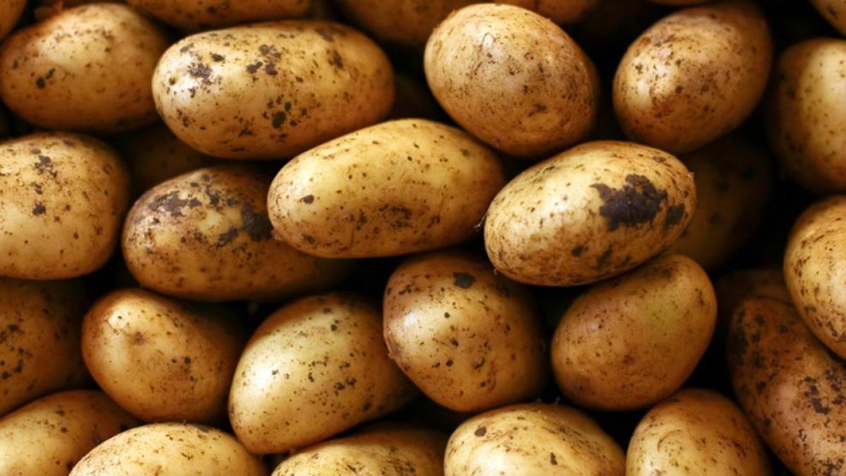 Patata propiedades, beneficios y valor nutricional