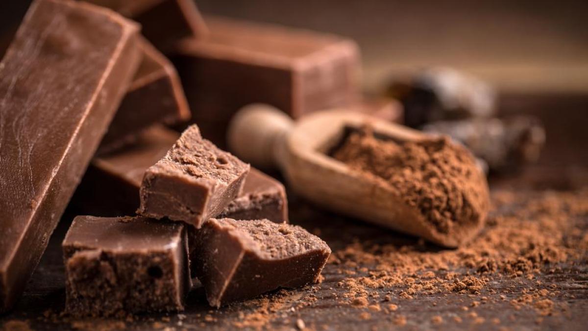 Cacao descubre sus beneficios, propiedades y valor nutricional