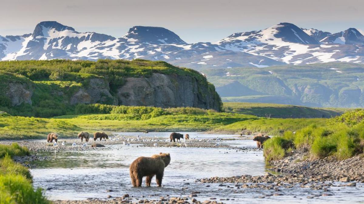 Alerta climática por los glaciares de Alaska
