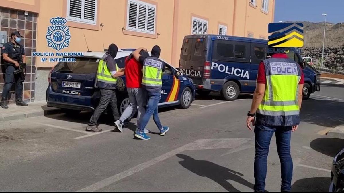 Desmantelan célula yihadista que captaba mujeres para tener hijos