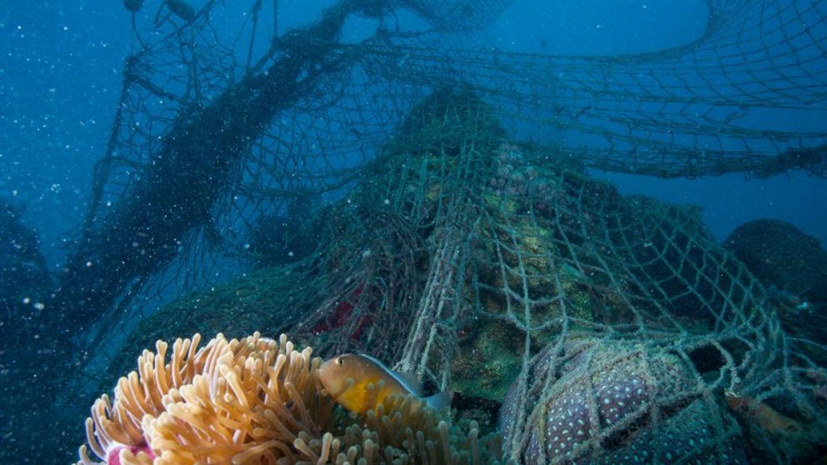 Un millón de toneladas de “redes fantasma” de pesca acaban cada año en