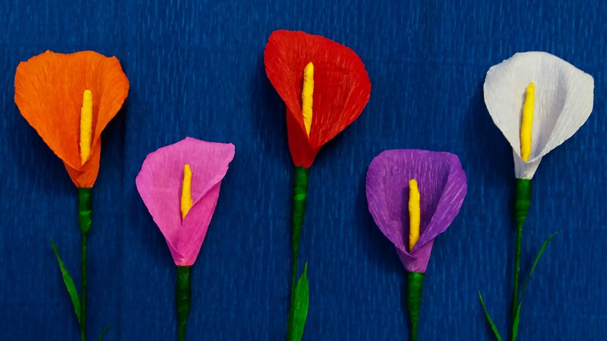 מקבילה מועצה בעלות השחר como hacer flores de papel tulipanes יהודי