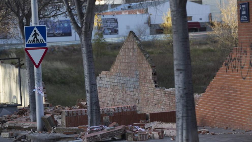 Terrassa convierte los árboles del temporal en biblioteca móvil