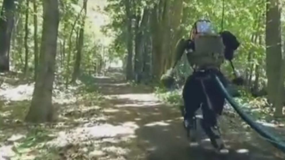 Robots que corren por el bosque un pequeño gran avance