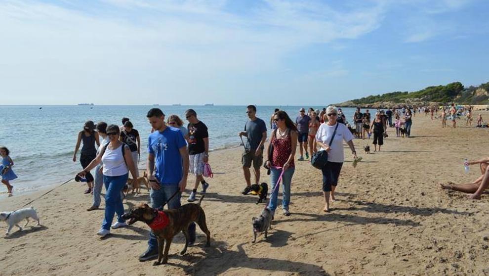 Empieza la temporada de playa para los perros de Tarragona