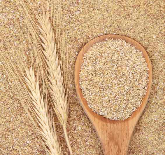 Germen de trigo propiedades, beneficios y valor nutricional