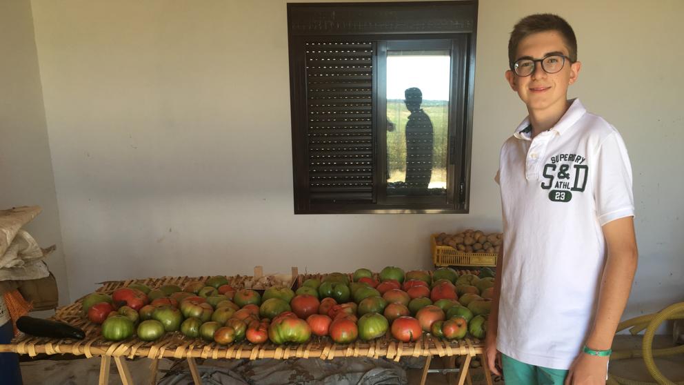 El ‘rey del tomate’ tiene 15 años y es de Barcelona