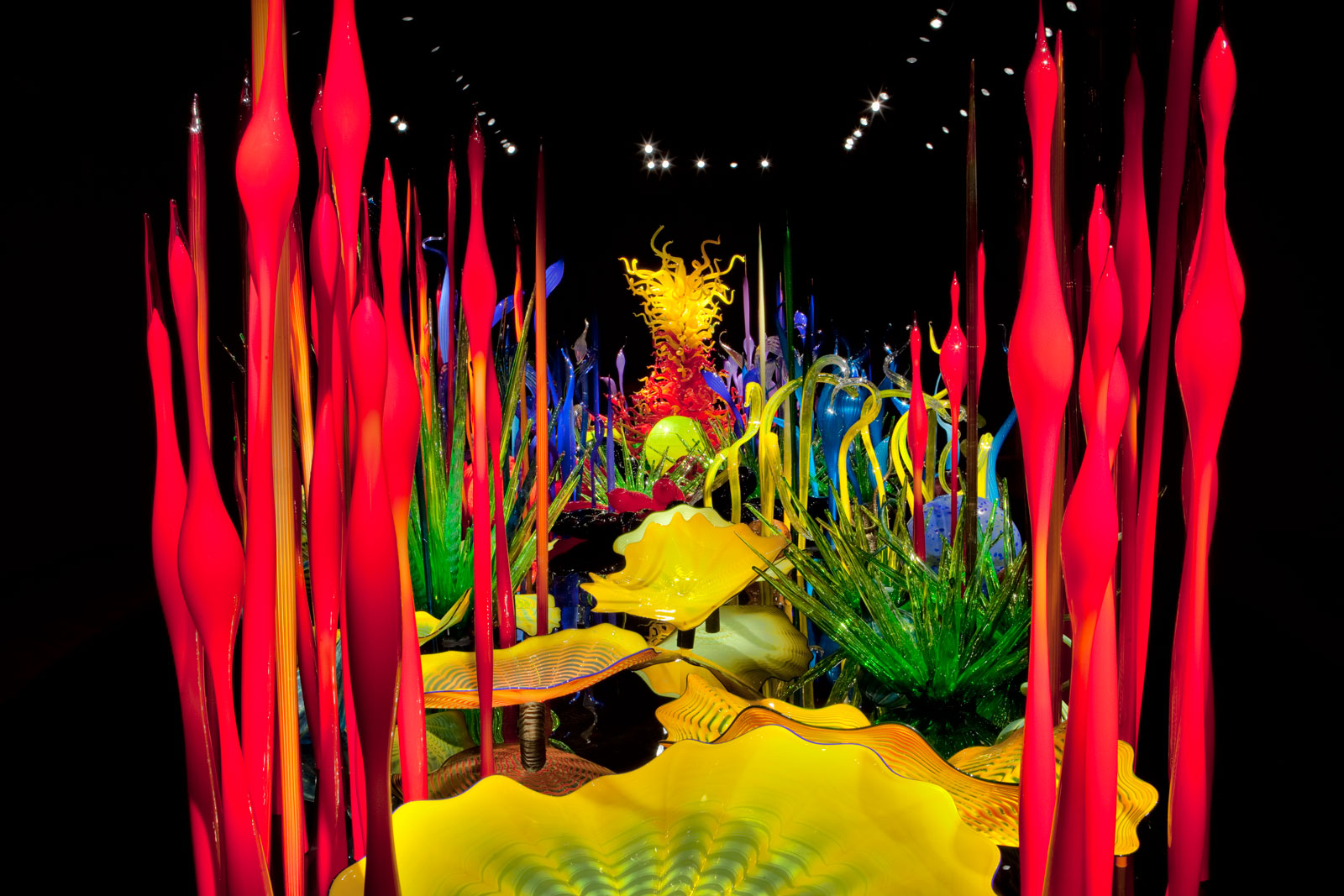 Dale Chihuly, maestro de las esculturas en vidrio “Mi arte es un