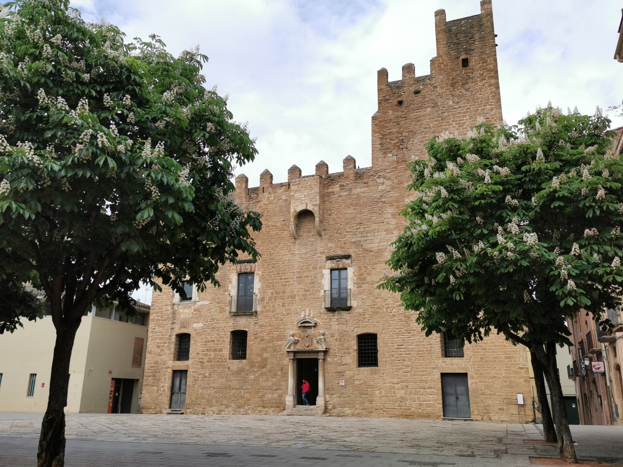 La fotografía toma el Castell de la Bisbal
