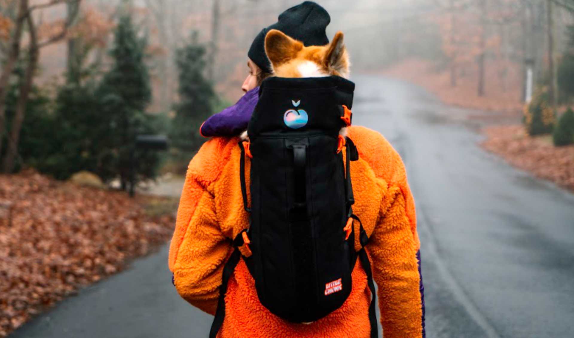 El dueño de la famosa perrita Maxine ha ideado una mochila para