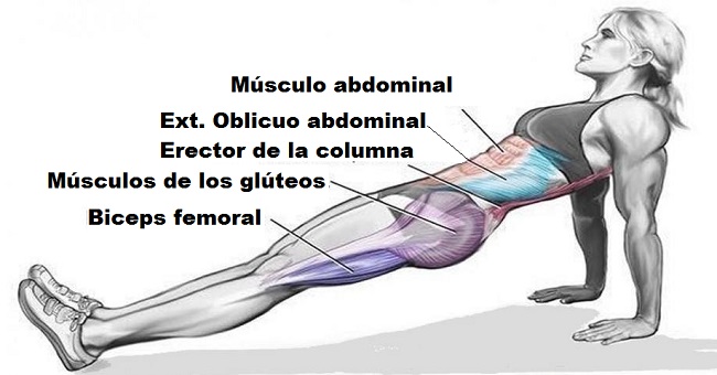 Plank invertido para quemar grasa y mejorar postura