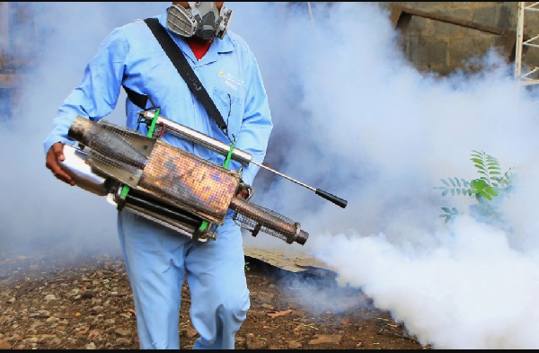 Blog Preparing for Fumigation Lavi And Associates, Inc.
