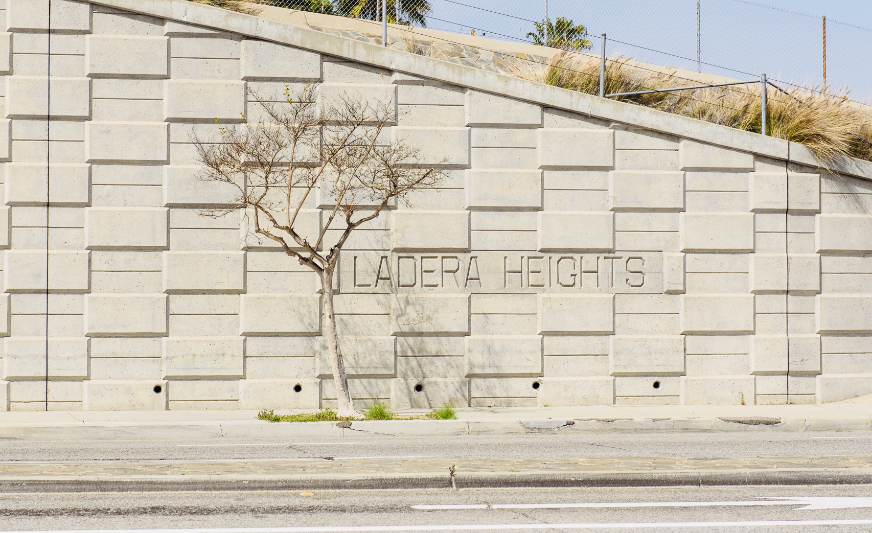 Ladera Heights LA Vision Properties