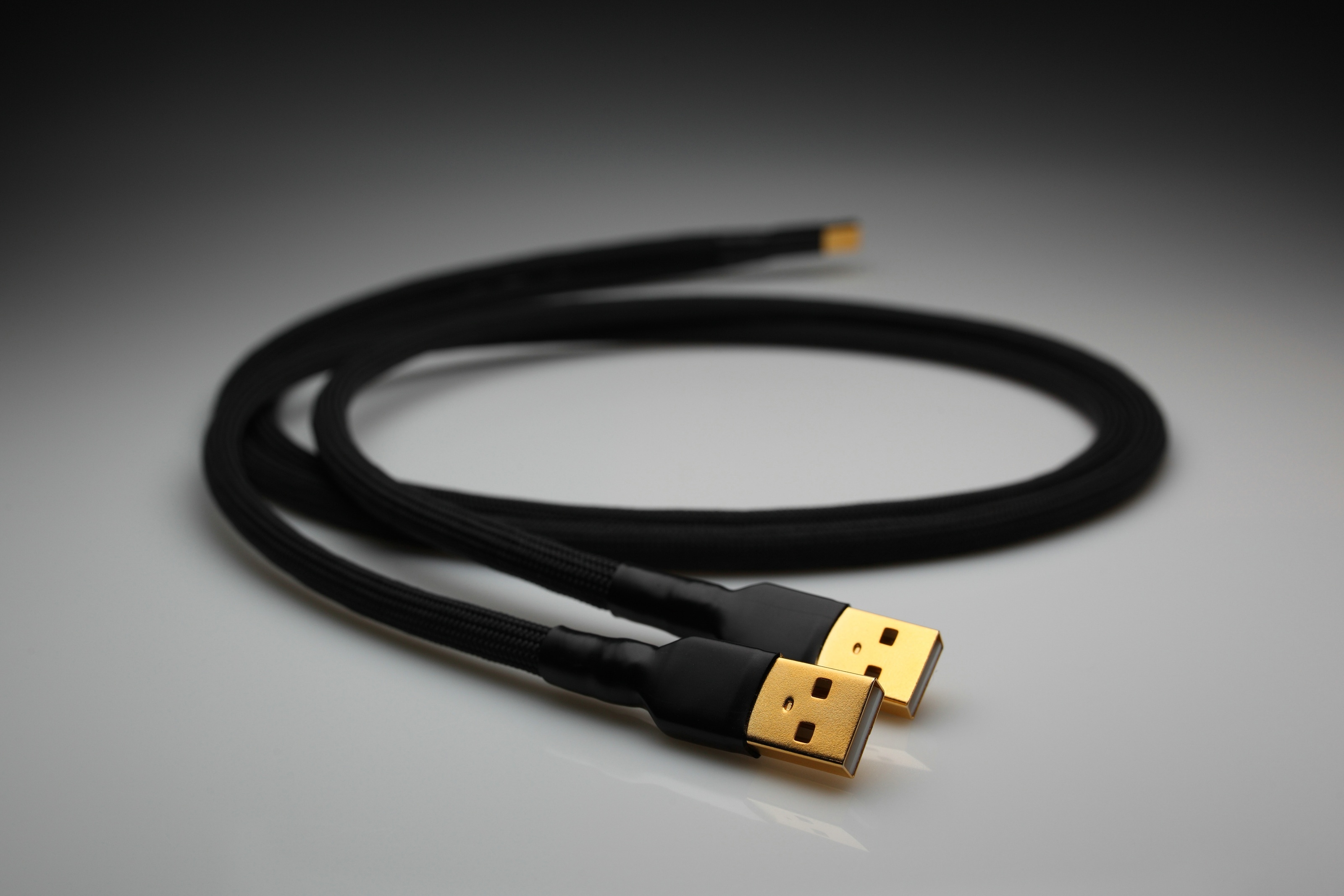 Lavricables Master 20 core Dual Headed Silver USB AB interconnect cable
