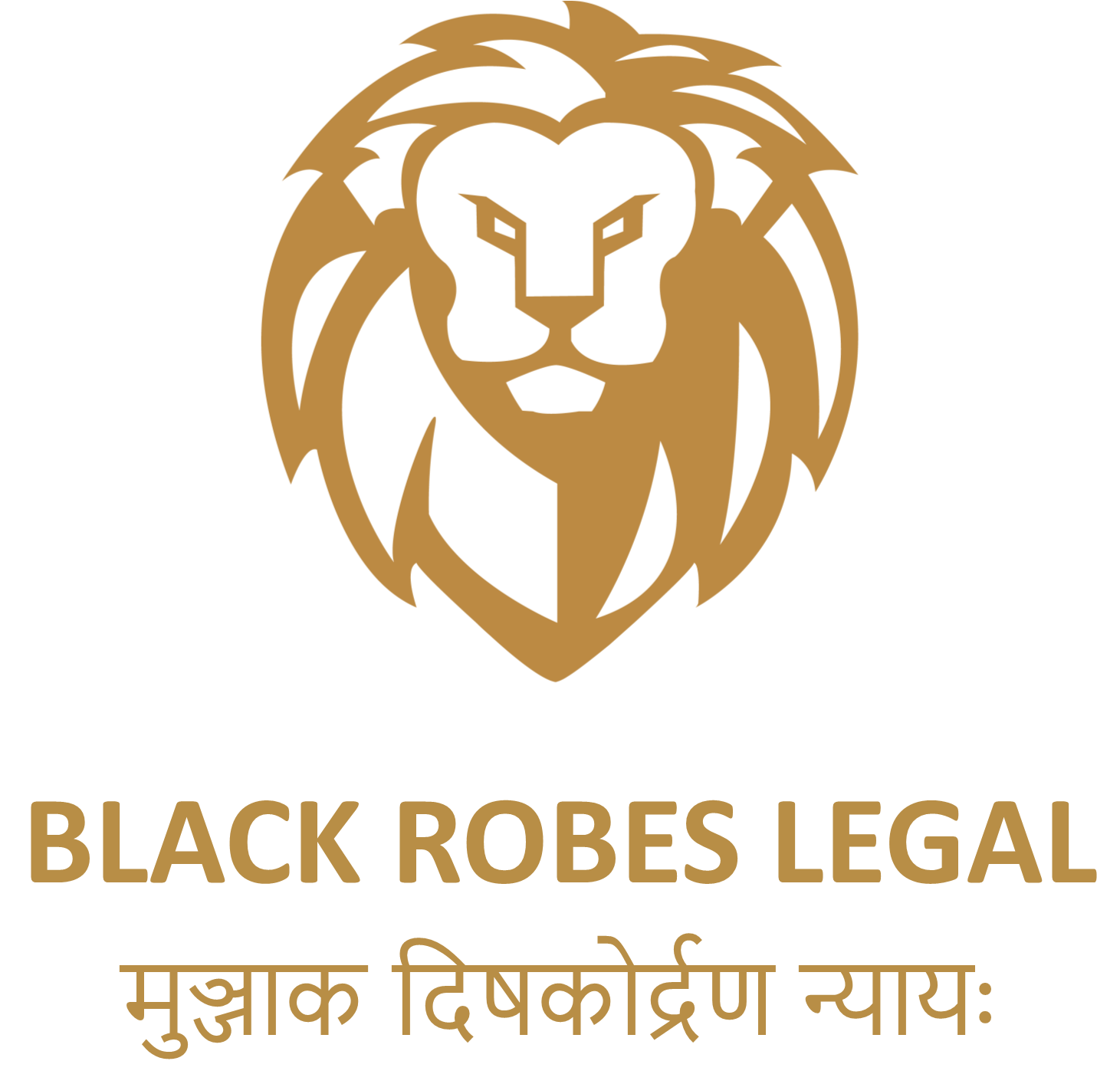 Black Robes Legal Online Internship Experience